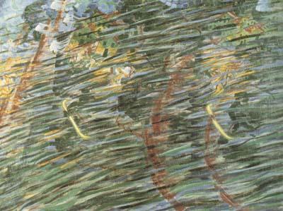 Umberto Boccioni Unique Form of Continuity in Space (mk19) china oil painting image